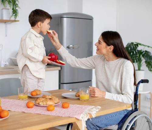 domestic-assistance-img01