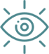 vision-img